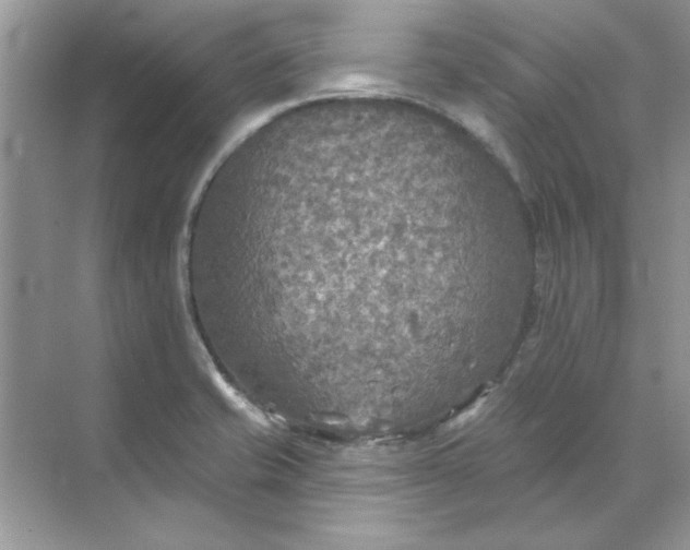 X0000071961421200607212241