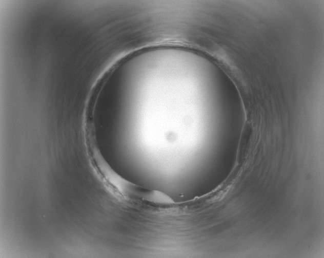 X0000071961422200607212241