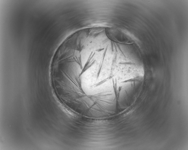 X0000071961423200607212241