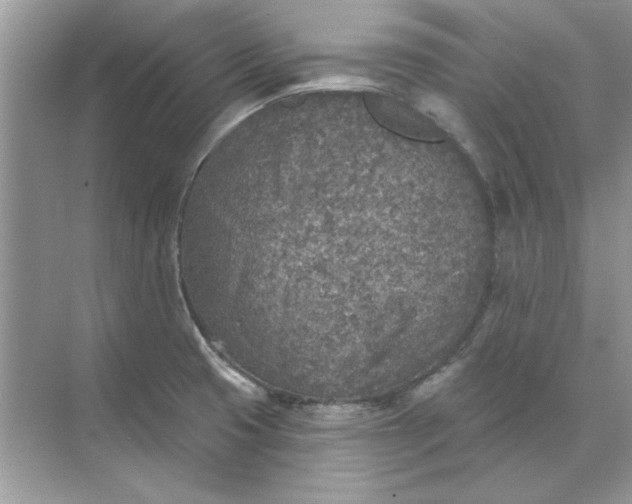 X0000071961425200607212241