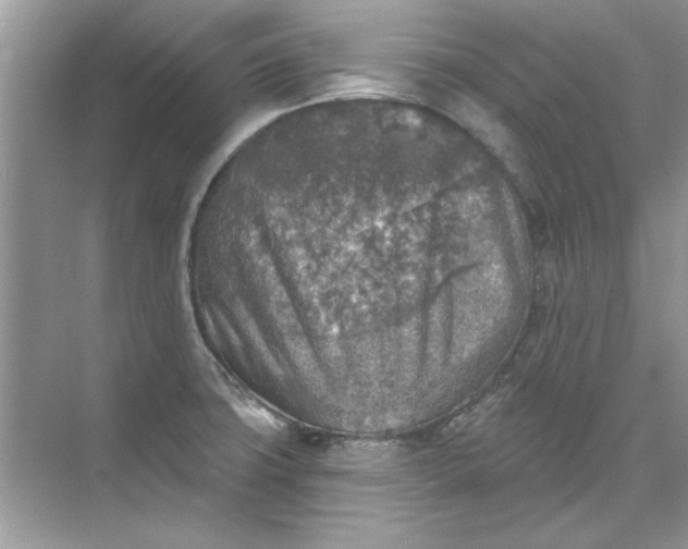 X0000071961427200607212241