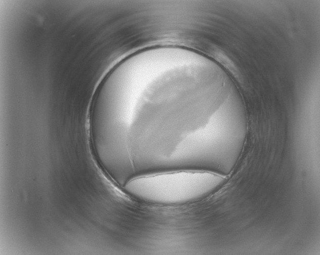 X0000071961428200607212241