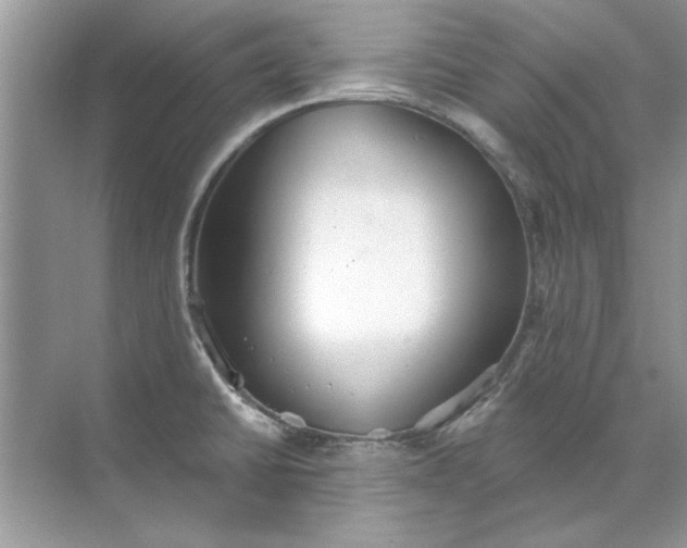 X0000071961430200607212241