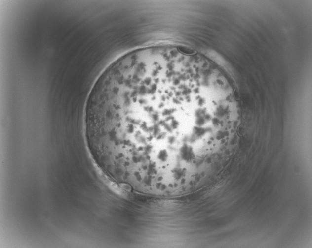 X0000071961431200607212241