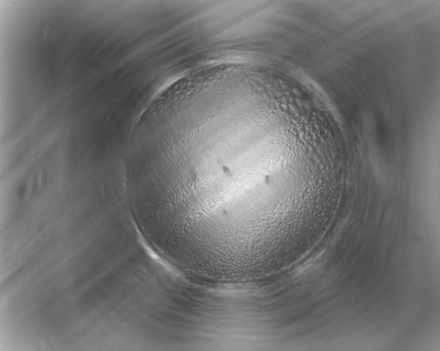 X0000071961433200607212241