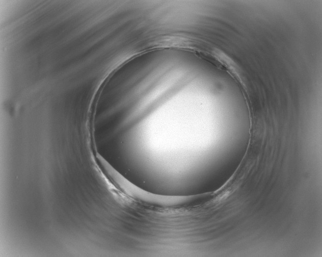 X0000071961434200607212241