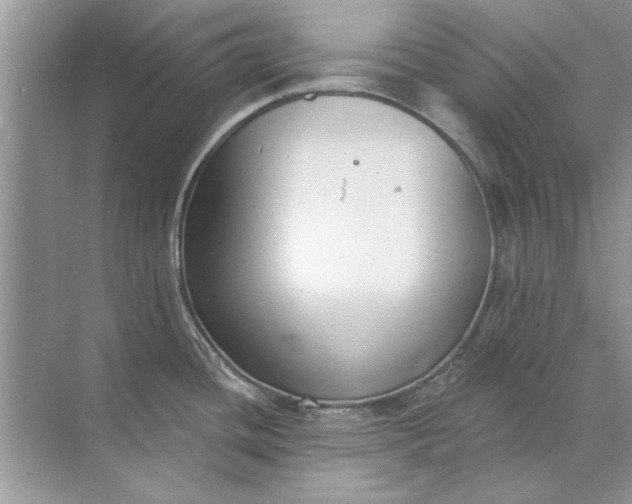 X0000071961436200607212241