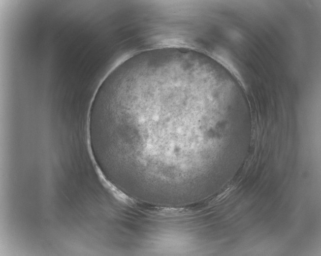 X0000071961439200607212241