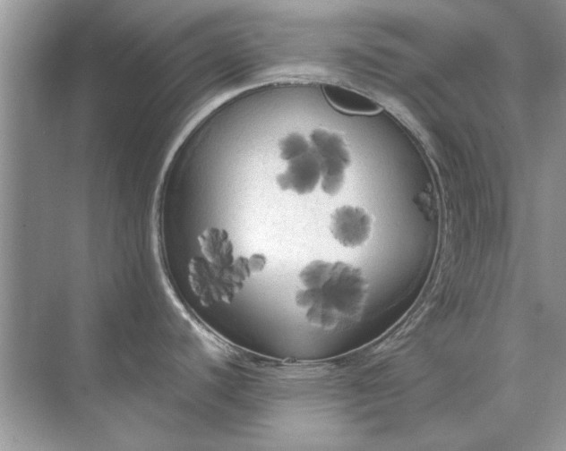 X0000071961440200607212241