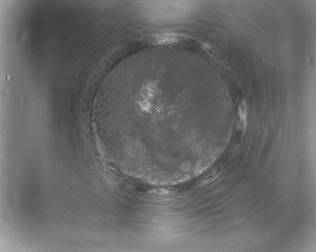 X0000071961441200607212240