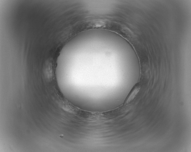 X0000071961442200607212240