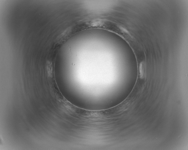 X0000071961443200607212240