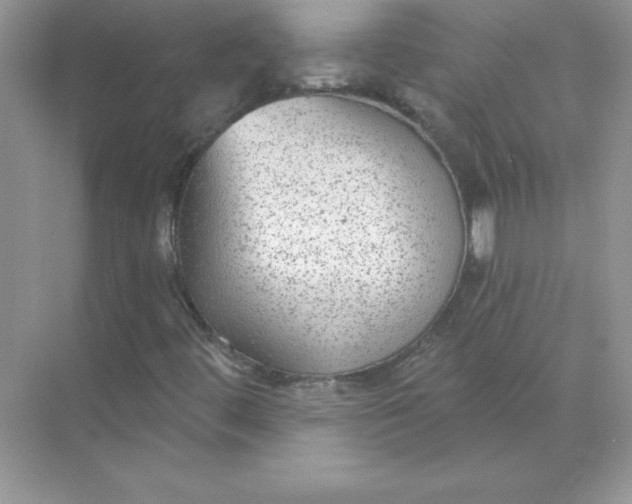 X0000071961444200607212240