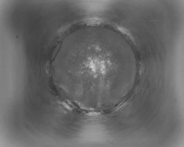 X0000071961445200607212240