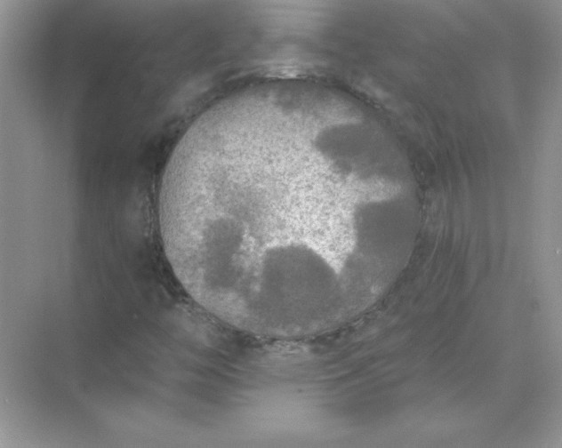 X0000071961446200607212240