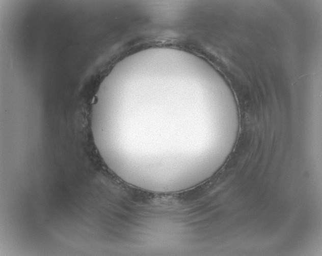 X0000071961447200607212240