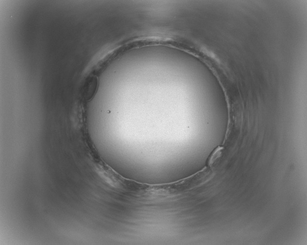 X0000071961448200607212240