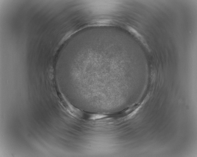 X0000071961449200607212240