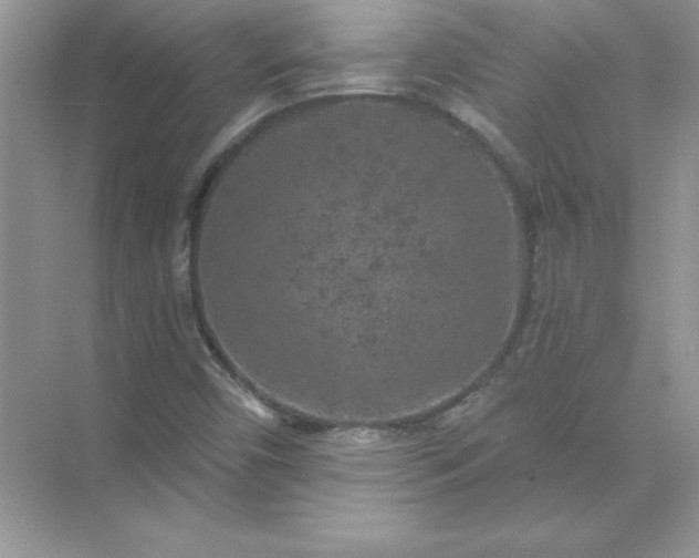 X0000071961450200607212240