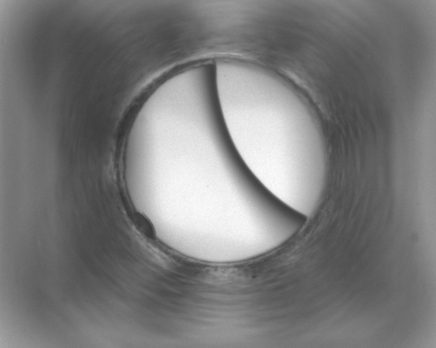 X0000071961452200607212240