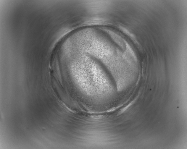 X0000071961453200607212240