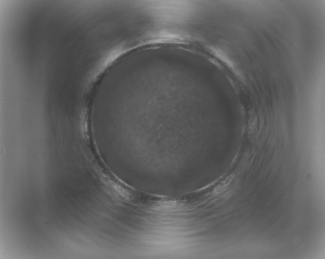 X0000071961455200607212240