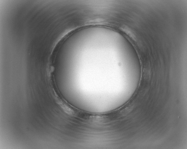 X0000071961458200607212240