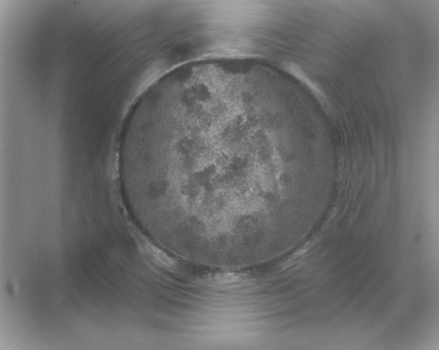 X0000071961459200607212240