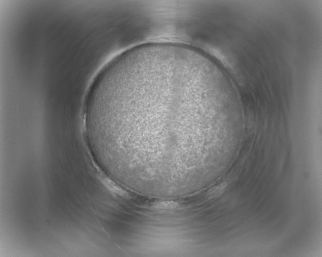 X0000071961462200607212240