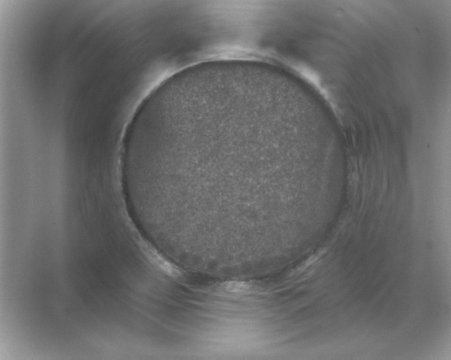 X0000071961463200607212240