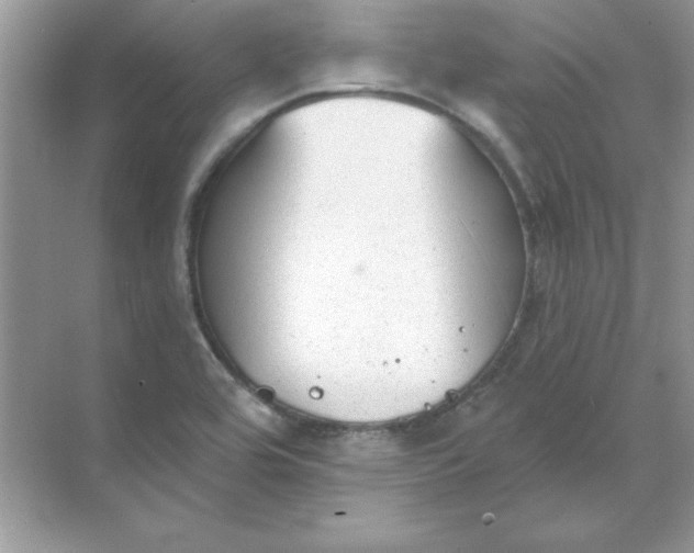 X0000071961464200607212240