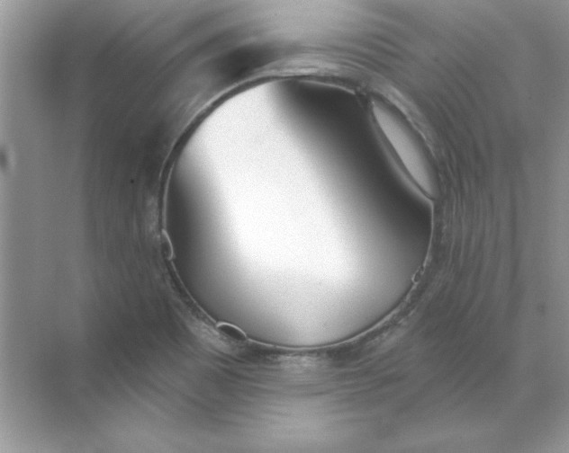 X0000071961465200607212240