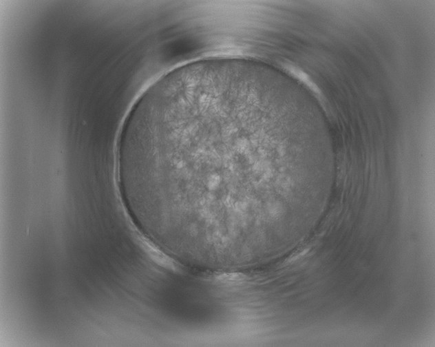 X0000071961467200607212240