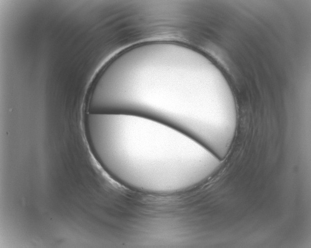 X0000071961468200607212240