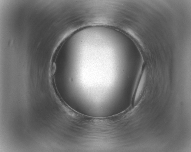 X0000071961469200607212240