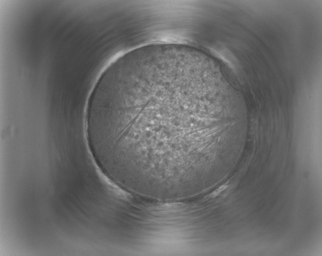 X0000071961471200607212240