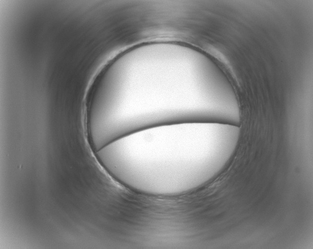 X0000071961472200607212239