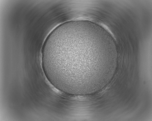 X0000071961476200607212239