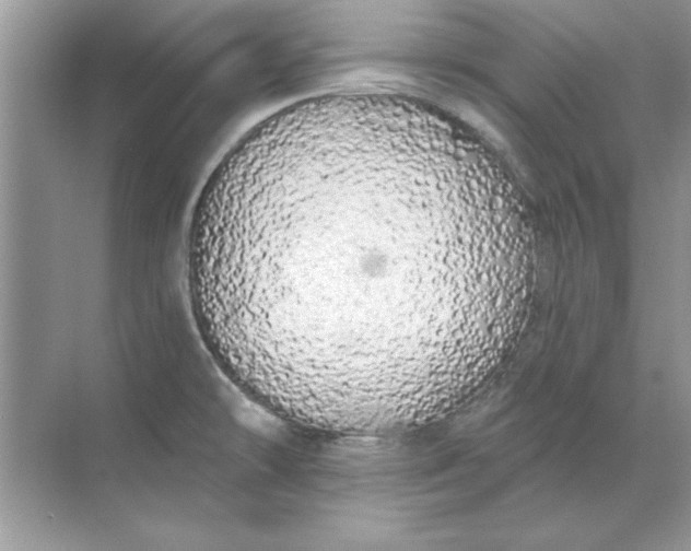 X0000071961478200607212239