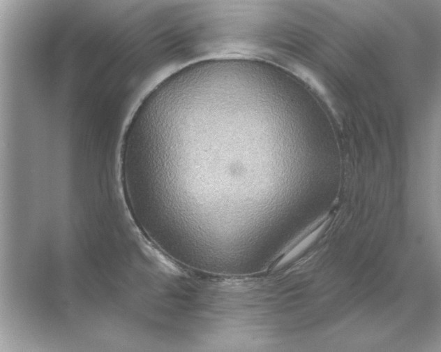 X0000071961480200607212239