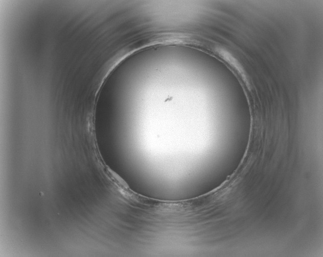 X0000071961481200607212239