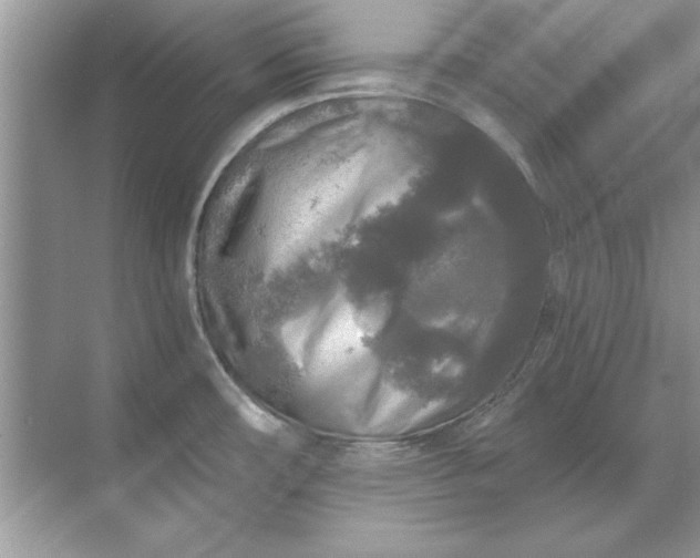 X0000071961482200607212239