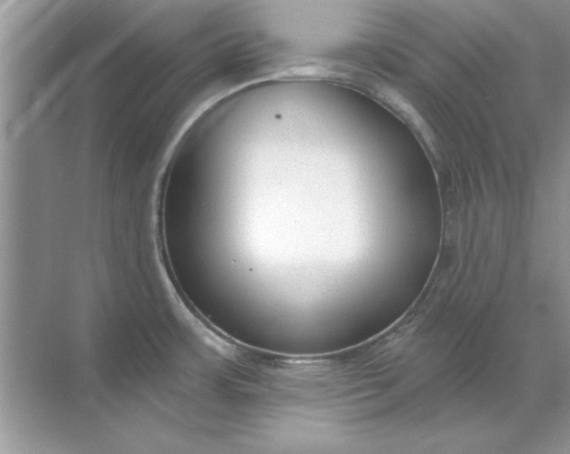 X0000071961483200607212239