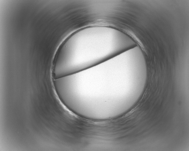 X0000071961484200607212239