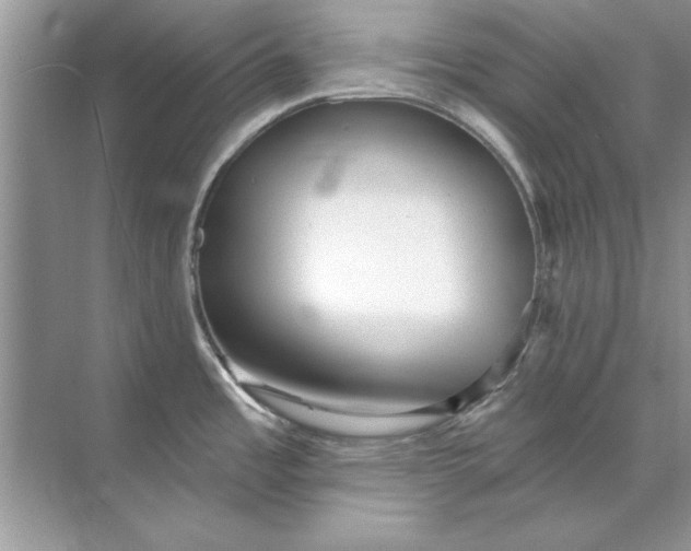 X0000071961485200607212239