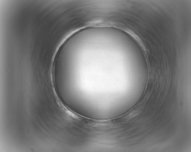 X0000071961486200607212239