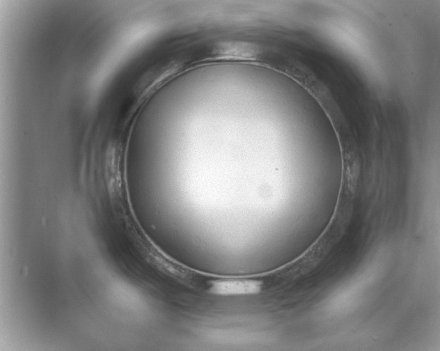 X0000071961487200607212239