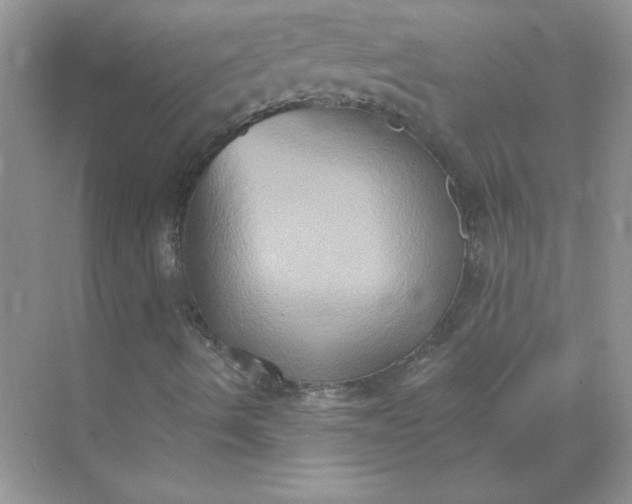 X0000071961490200607212238