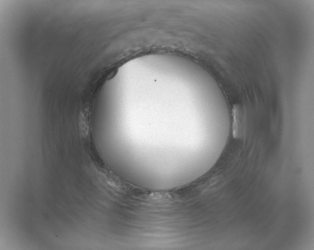 X0000071961491200607212238