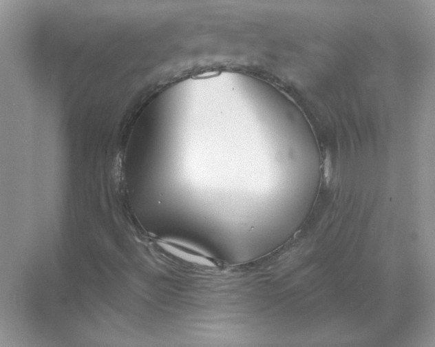 X0000071961492200607212238